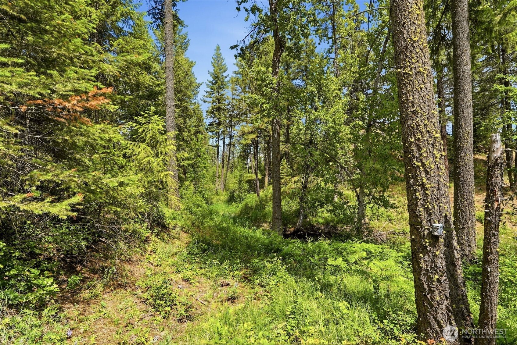2542963 Property Photo 11