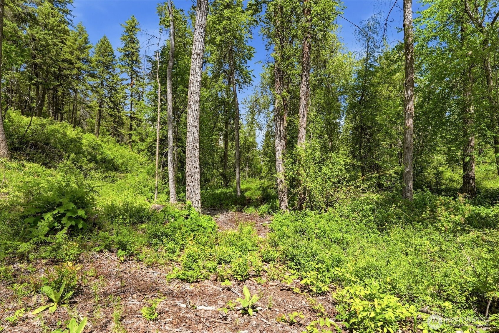 2542963 Property Photo 12