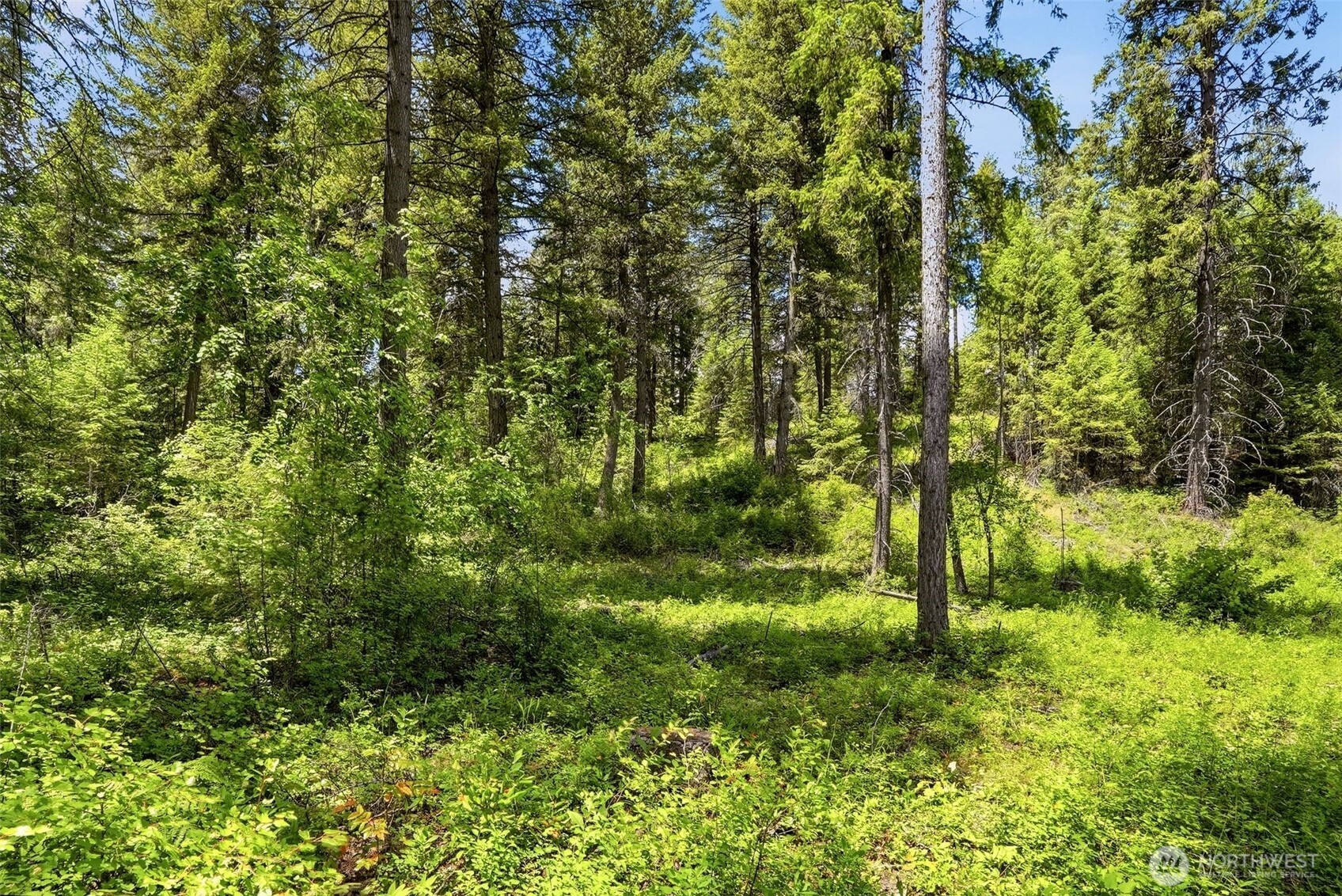 2542963 Property Photo 13