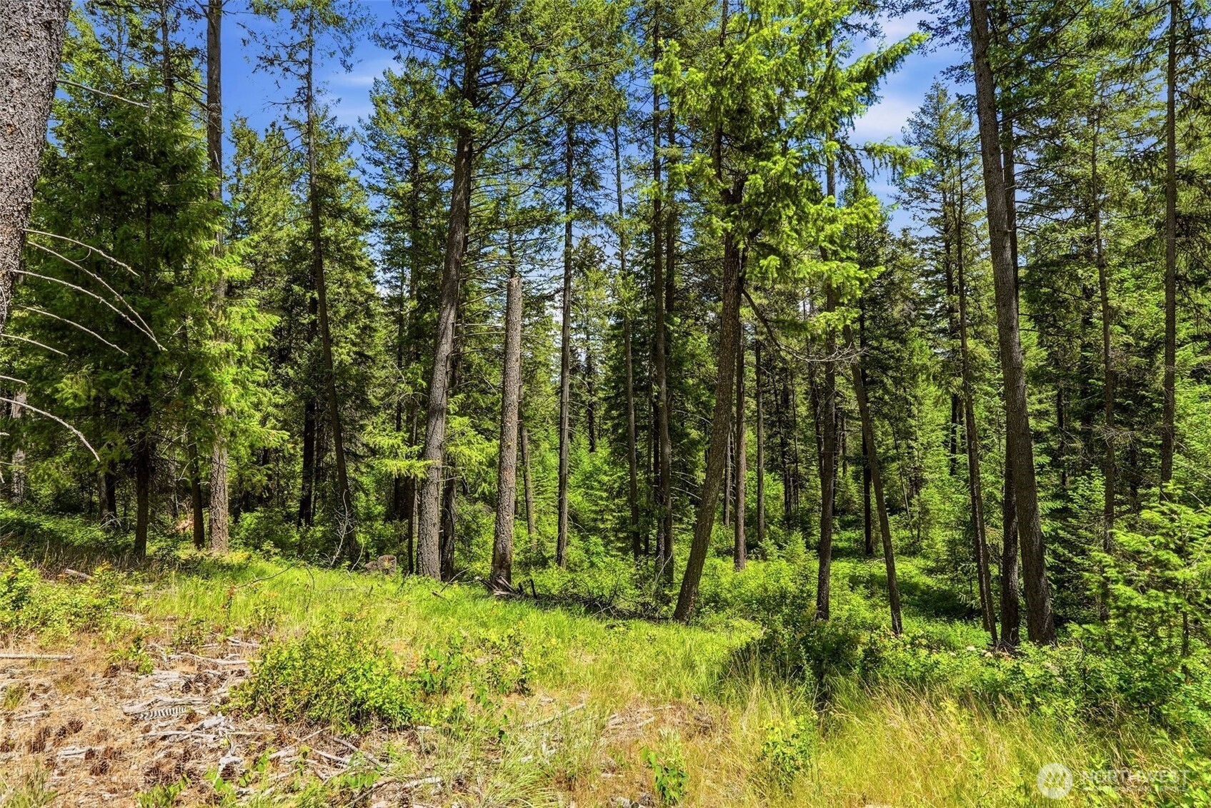 2542963 Property Photo 14
