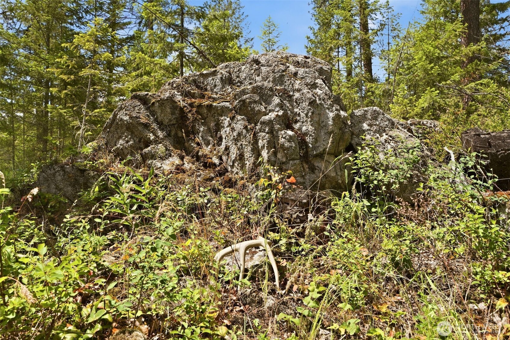 2542963 Property Photo 15