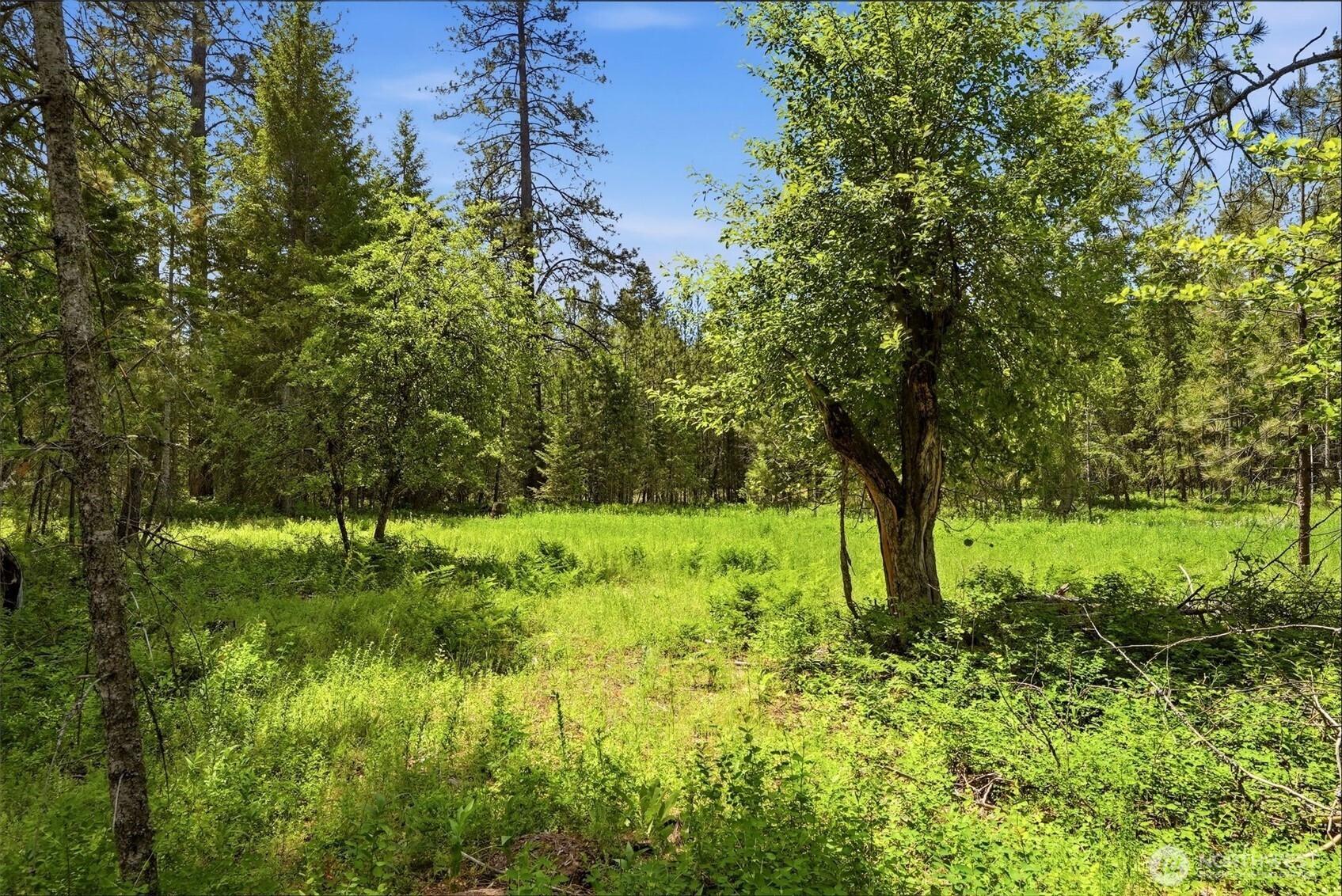 2542963 Property Photo 17