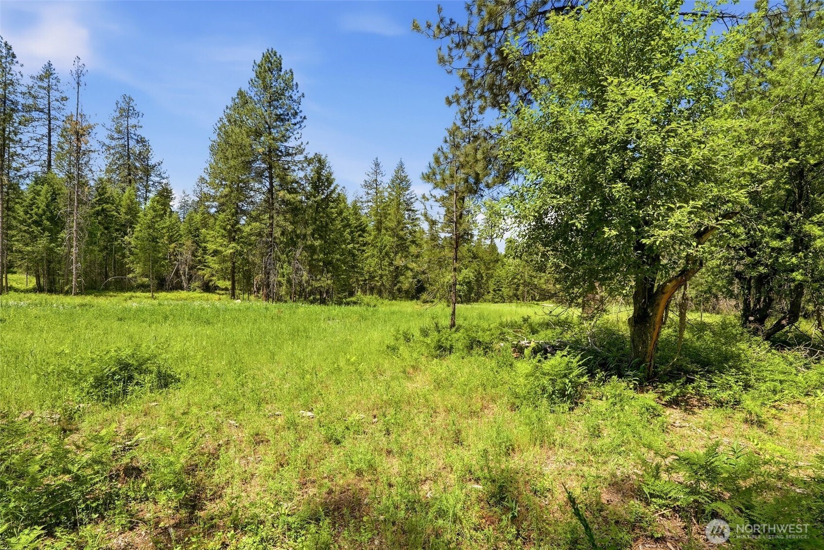 2542963 Property Photo 18