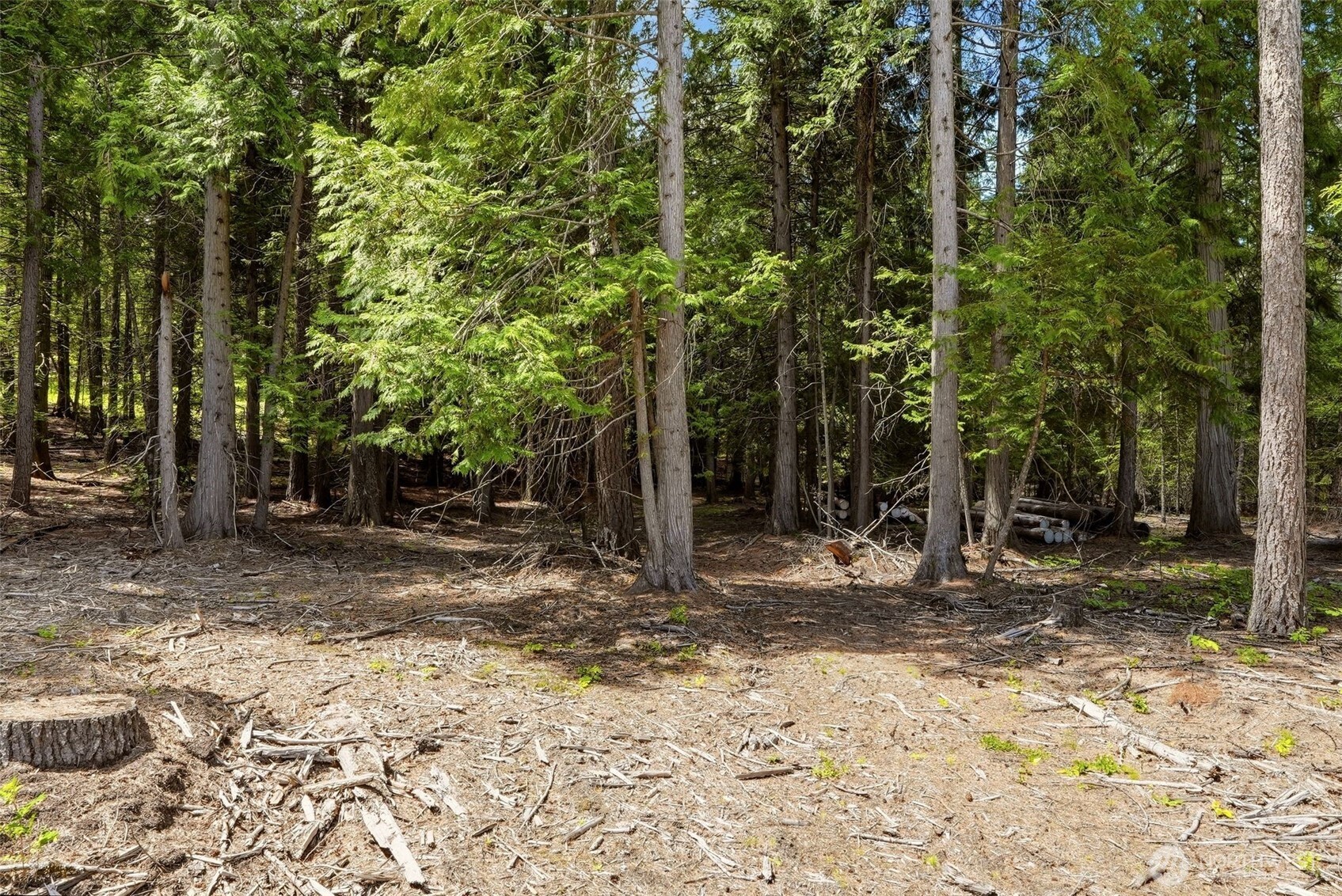 2542963 Property Photo 19