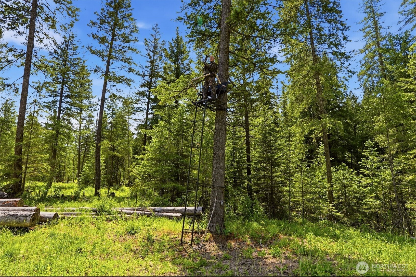 2542963 Property Photo 20