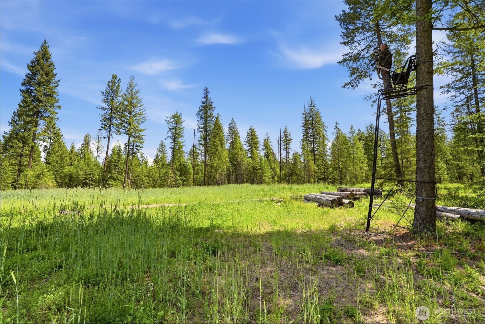 2542963 Property Photo 21
