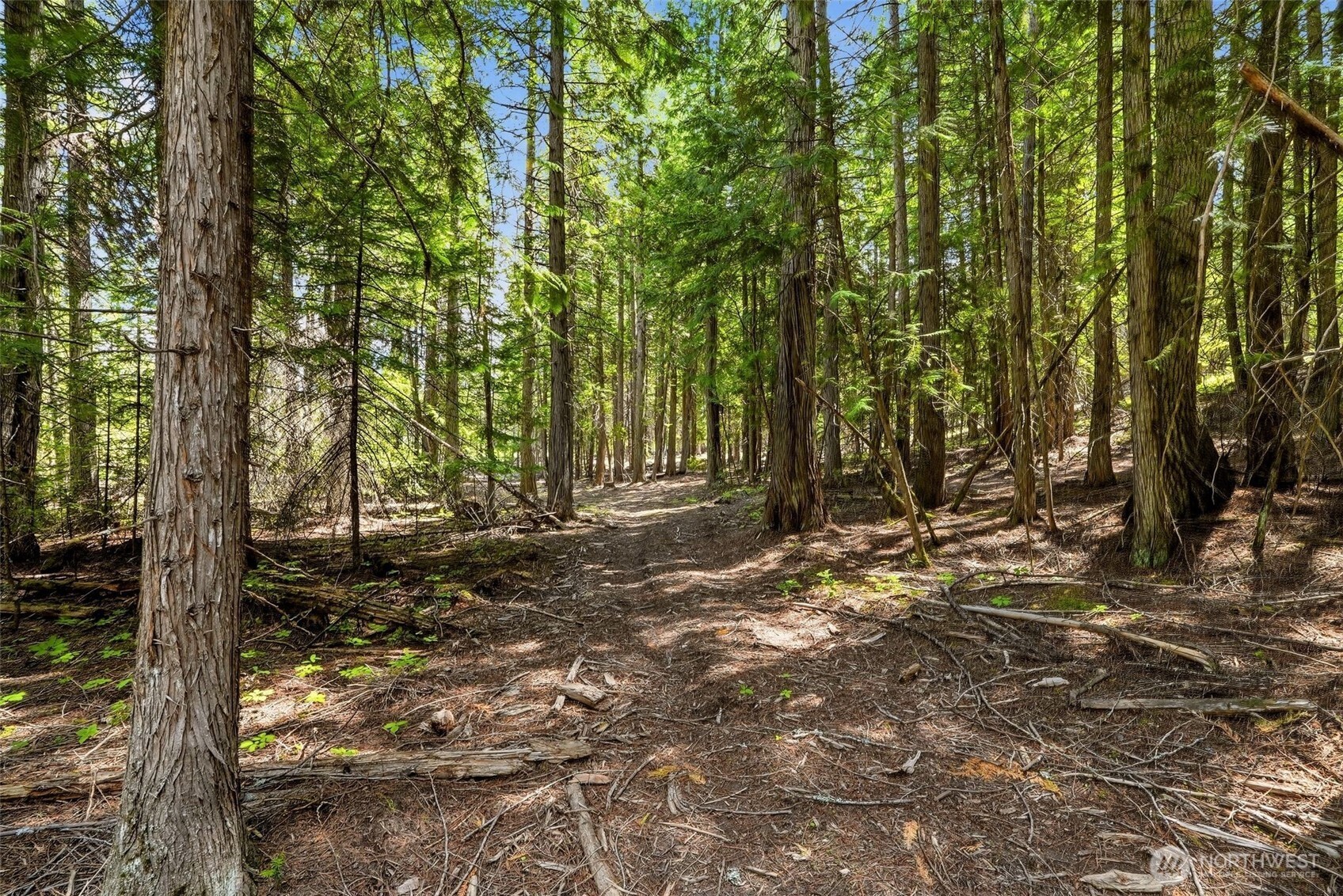 2542963 Property Photo 23