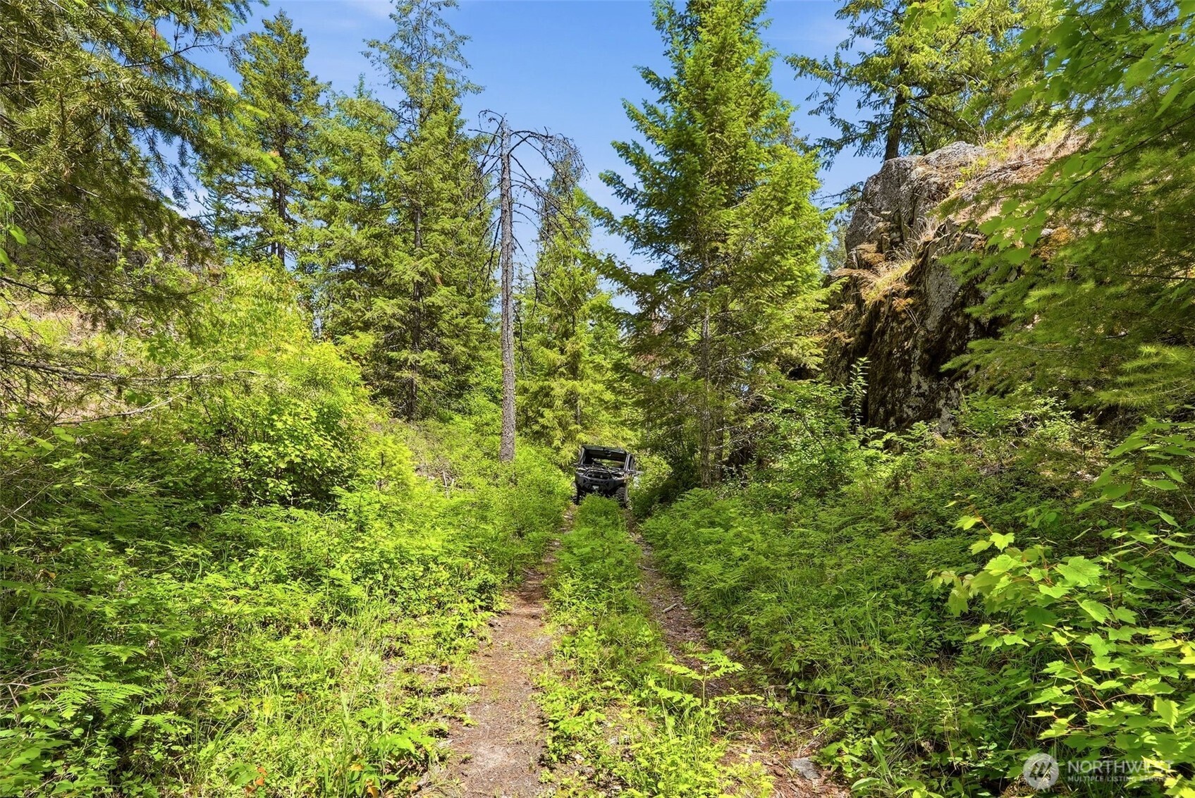 2542963 Property Photo 24