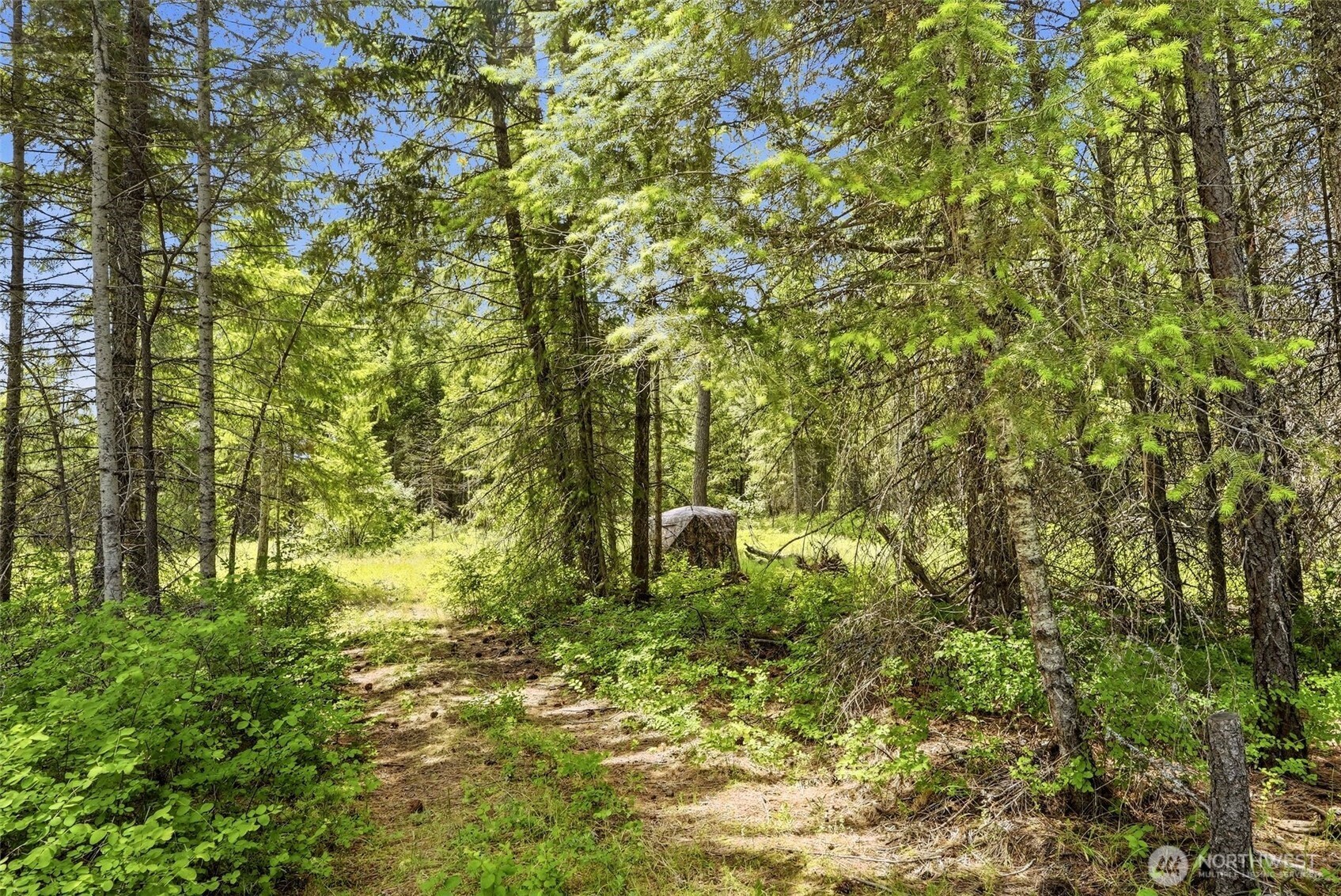 2542963 Property Photo 25