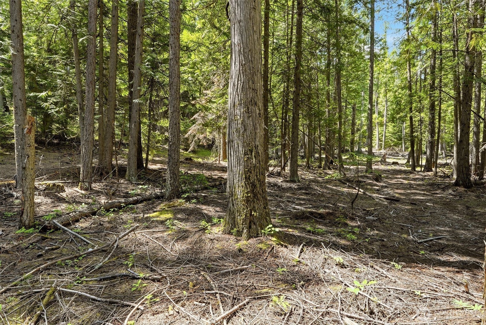 2542963 Property Photo 26