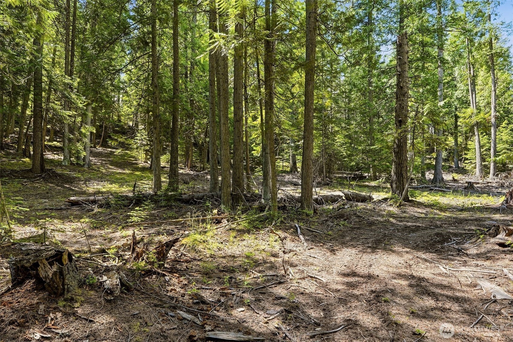 2542963 Property Photo 27