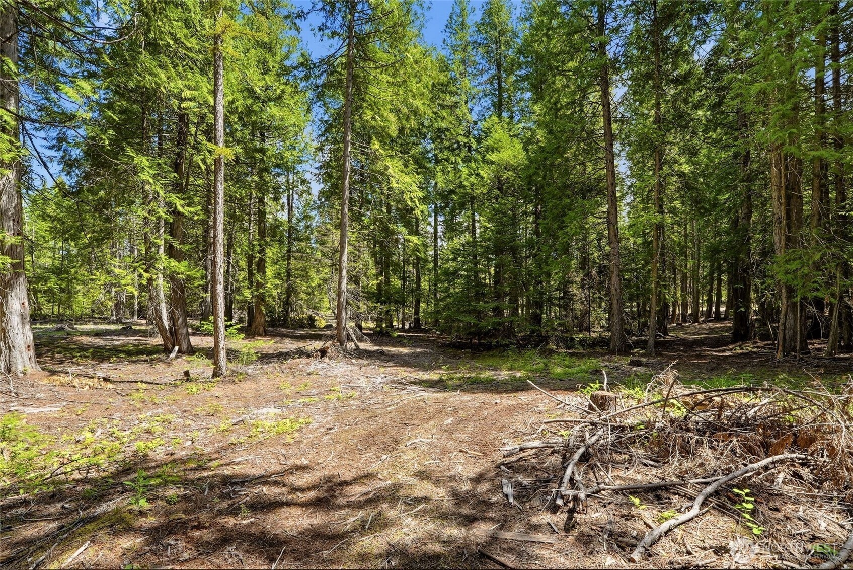 2542963 Property Photo 28