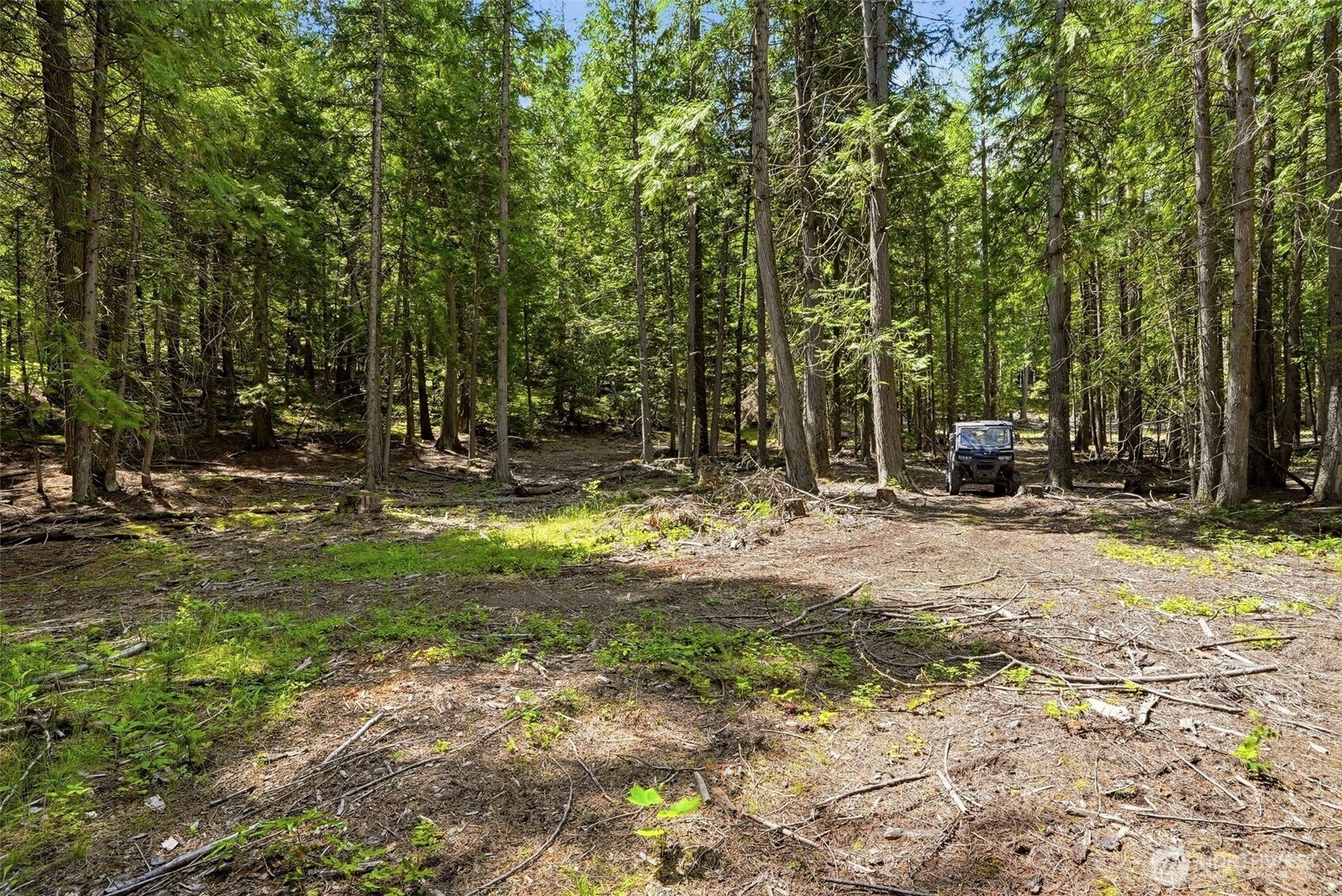 2542963 Property Photo 29