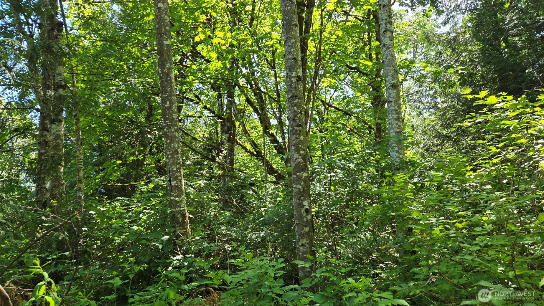 3628 Creek View Court Property Photo 2