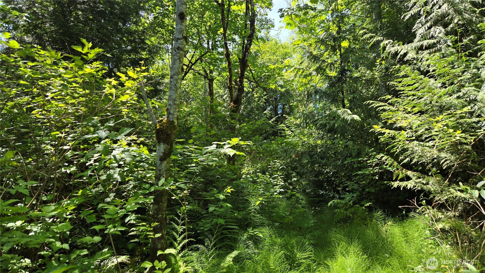 3628 Creek View Court Property Photo 5