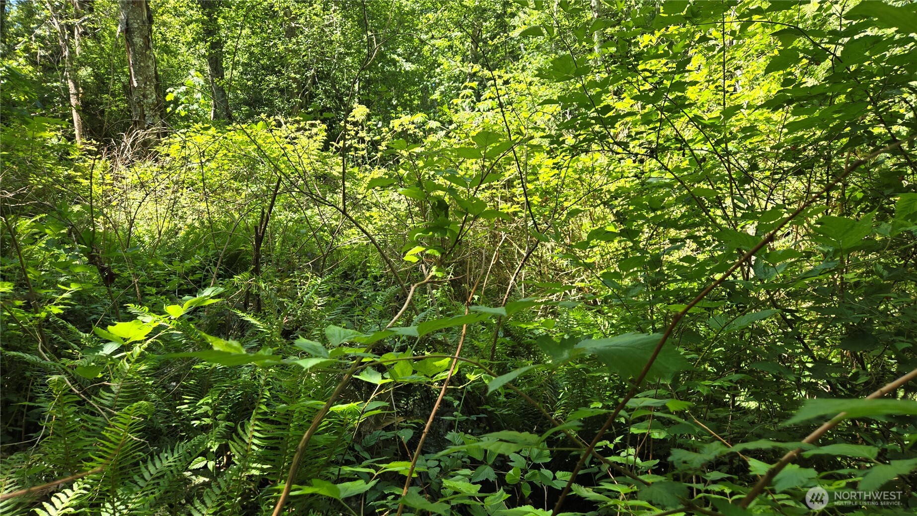 3628 Creek View Court Property Photo 6