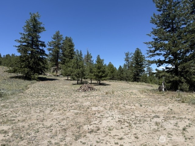 132 W Cayuse Mtn Road Property Photo 23