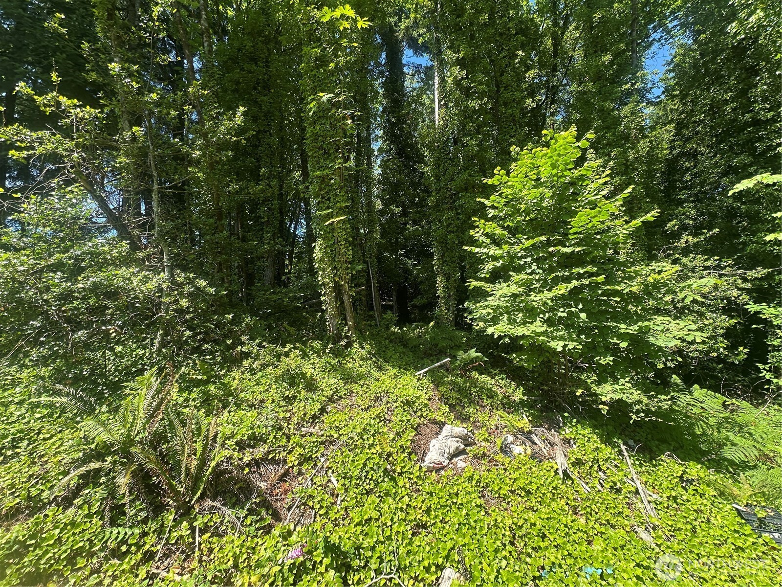 0 W Harvard Avenue Property Photo 1