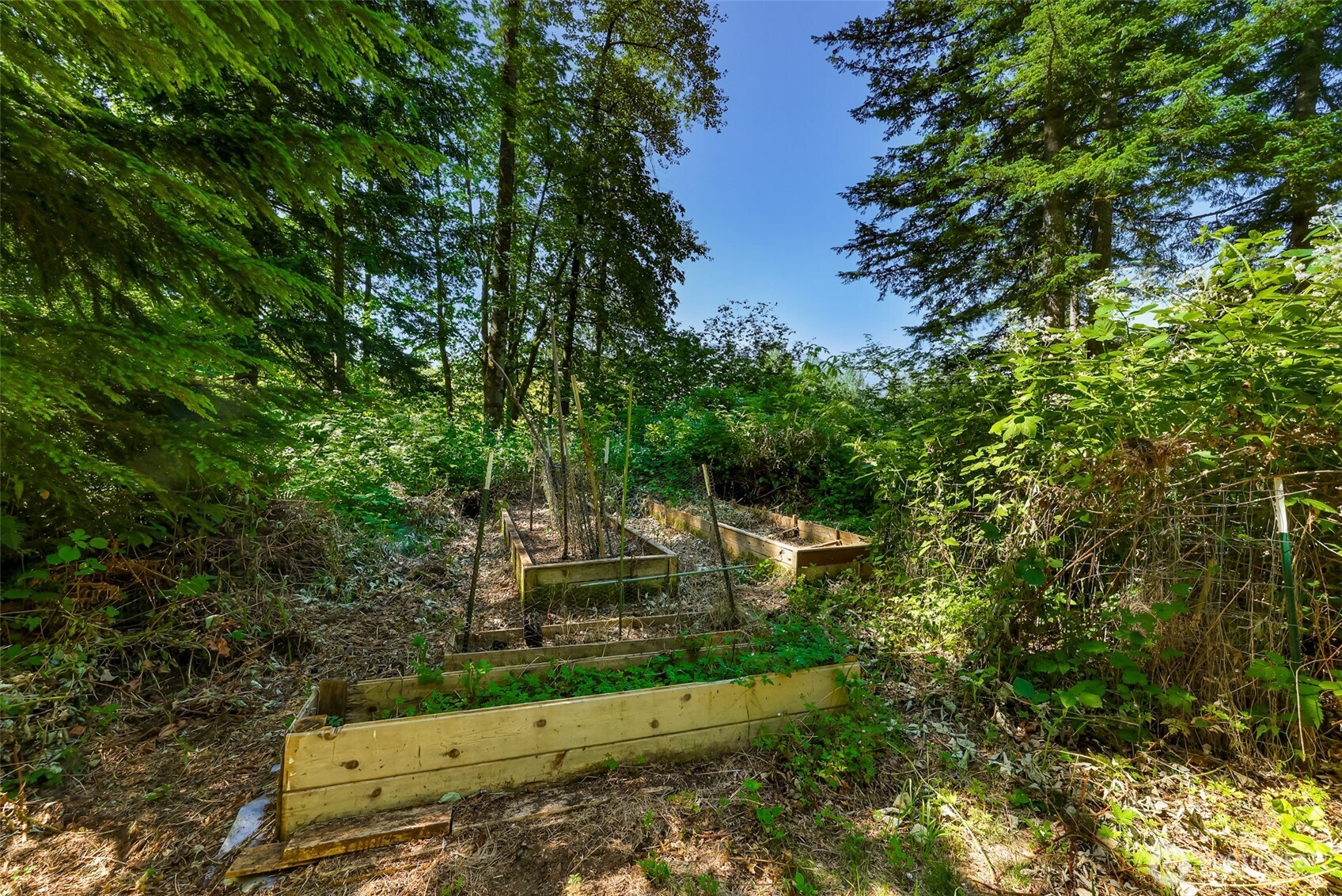 42215 May Creek Road Property Photo 7