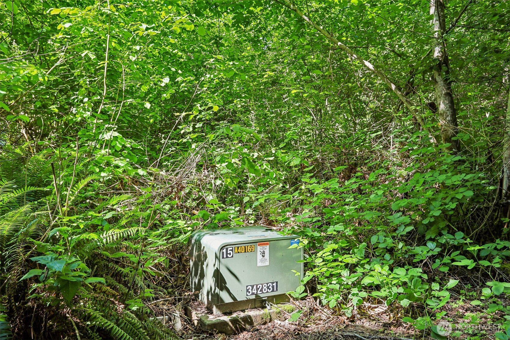 42215 May Creek Road Property Photo 8