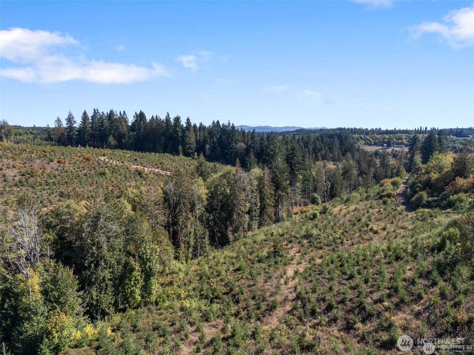 0 Lot 1-4 Macomber Road Property Photo 6