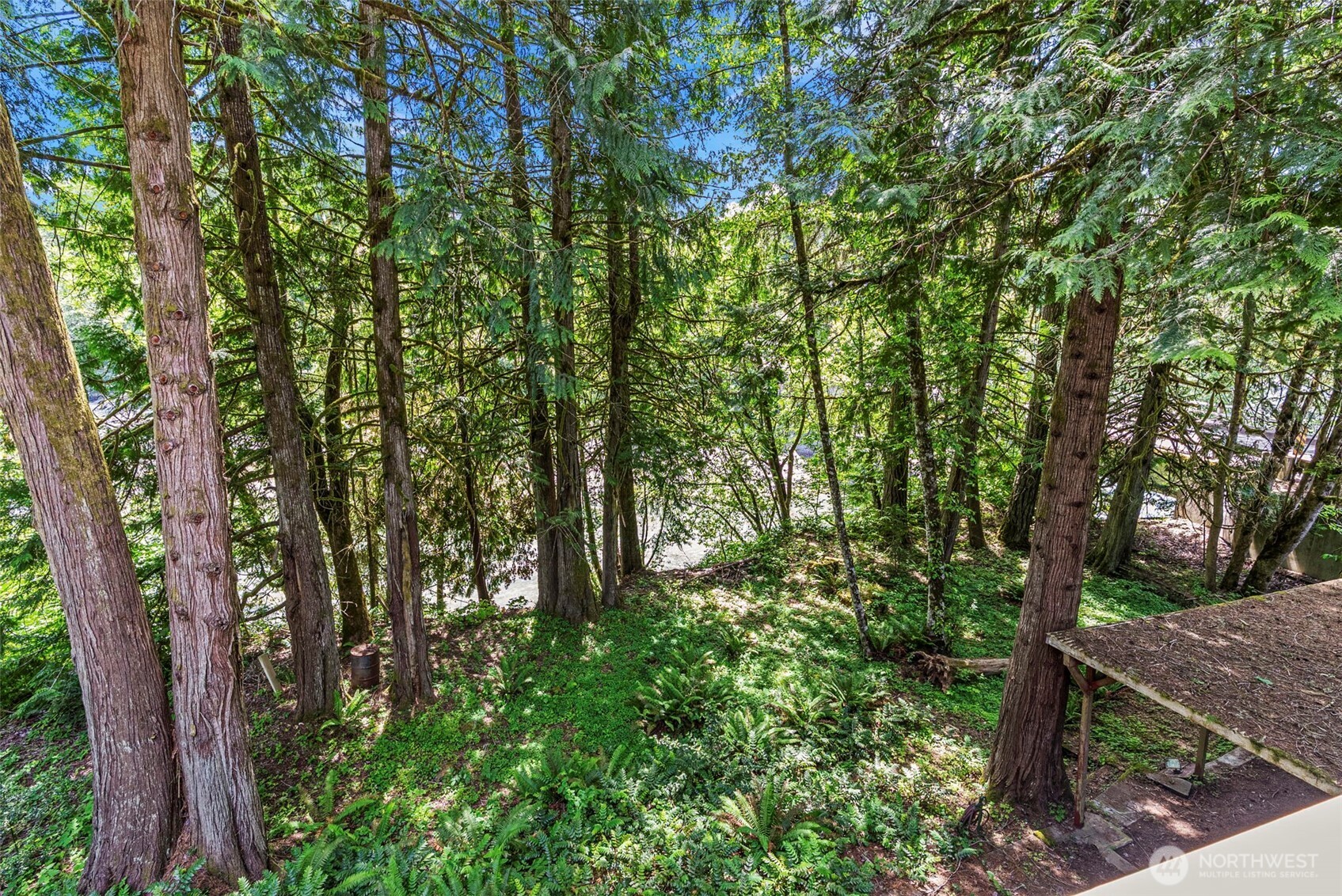 1701 Tower Road Property Photo 16