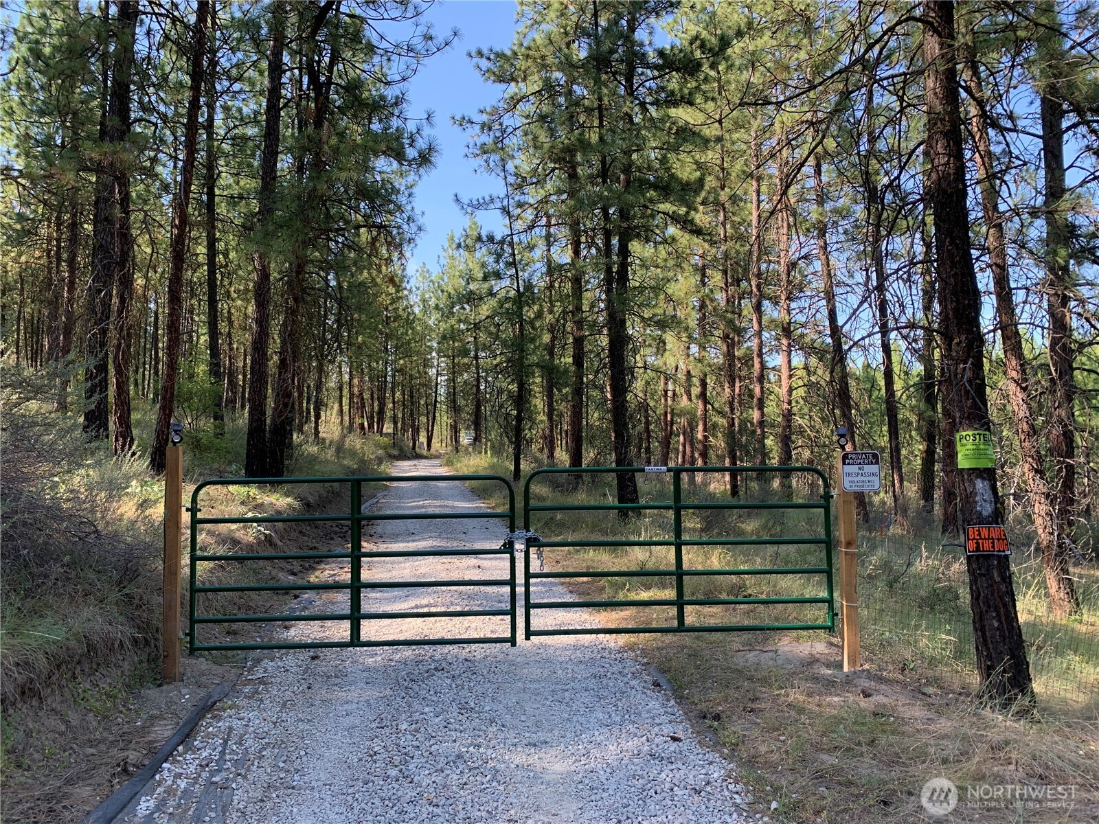 6658 Sand Flats Road Property Photo 9