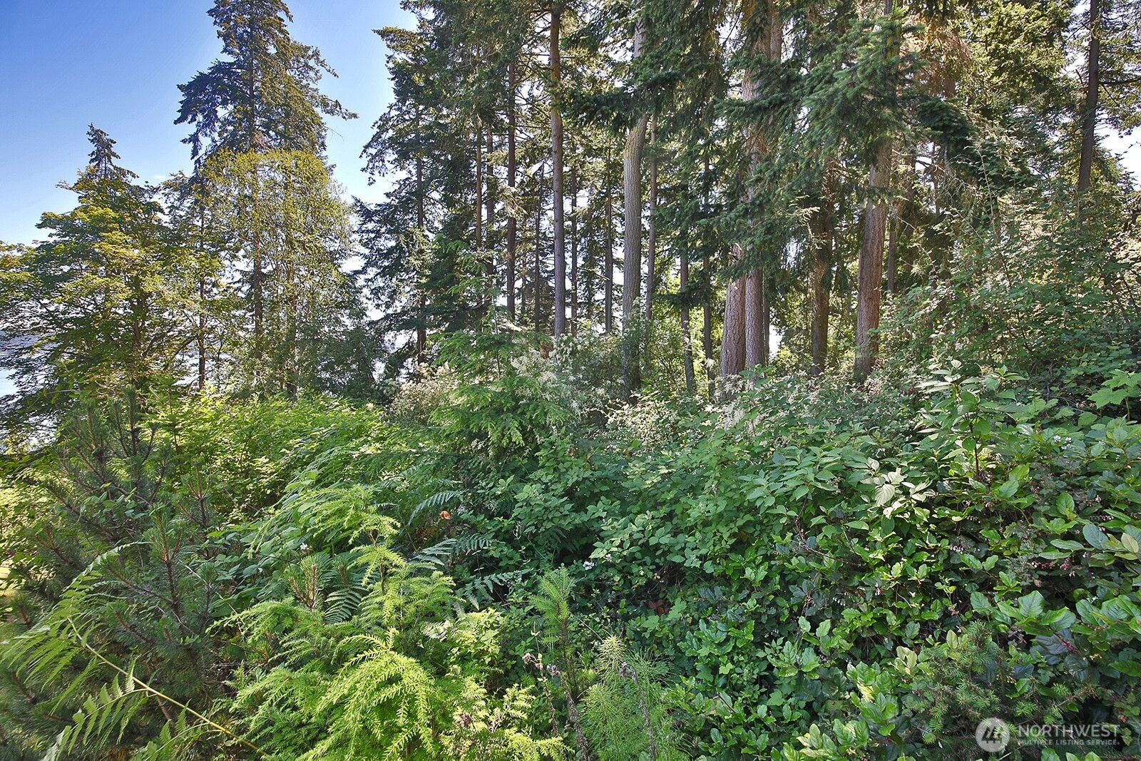 0 Belvedere Place Property Photo 4