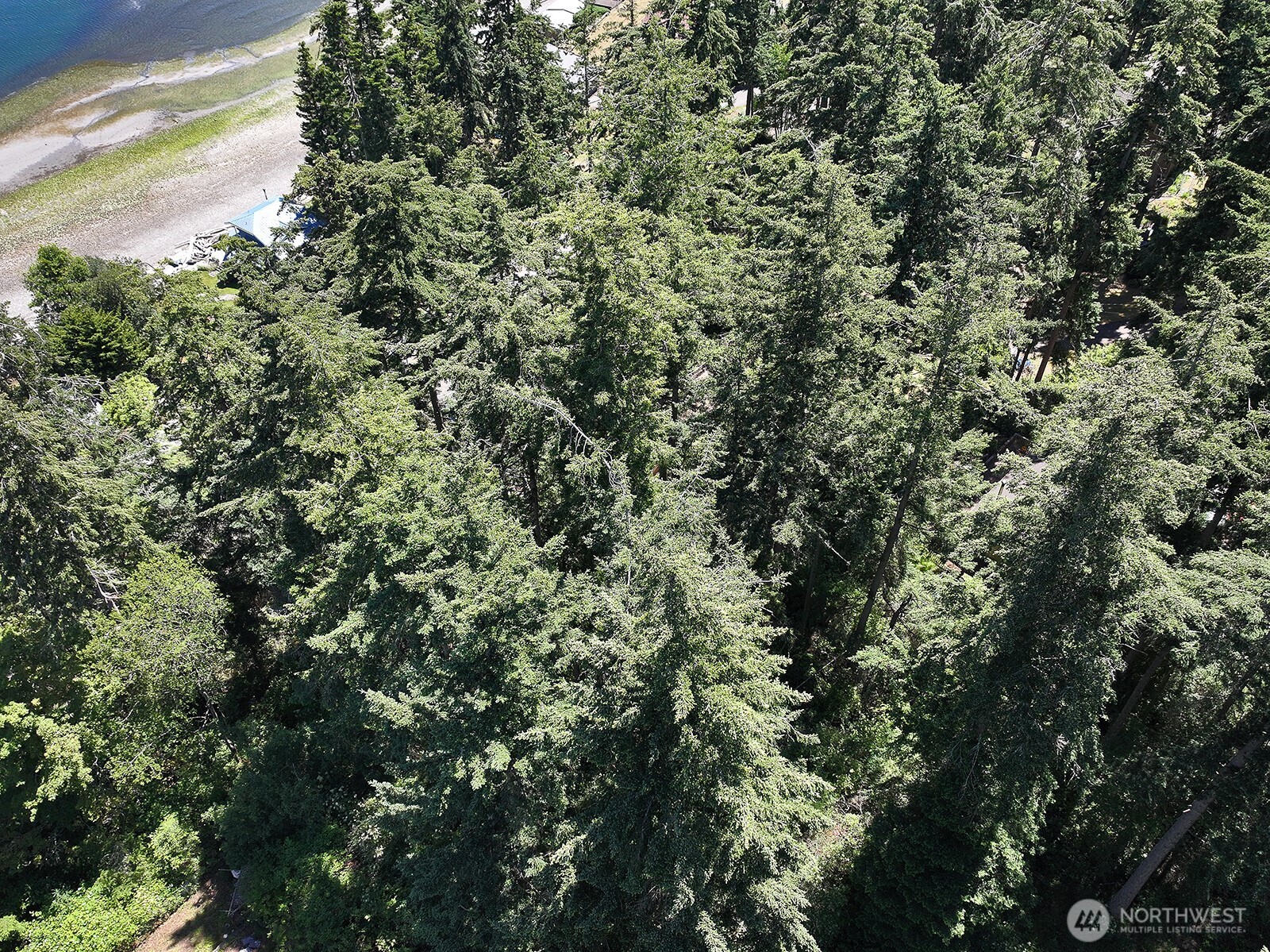 0 Belvedere Place Property Photo 13