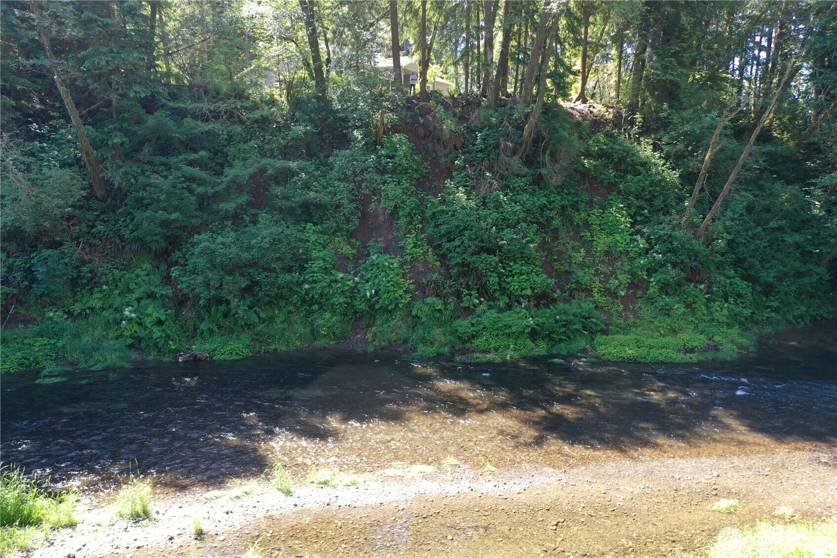 553 Upper Naselle Road Property Photo 4