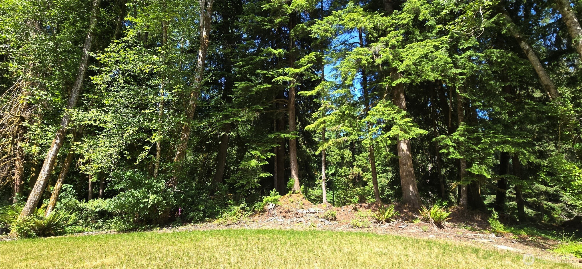 553 Upper Naselle Road Property Photo 28