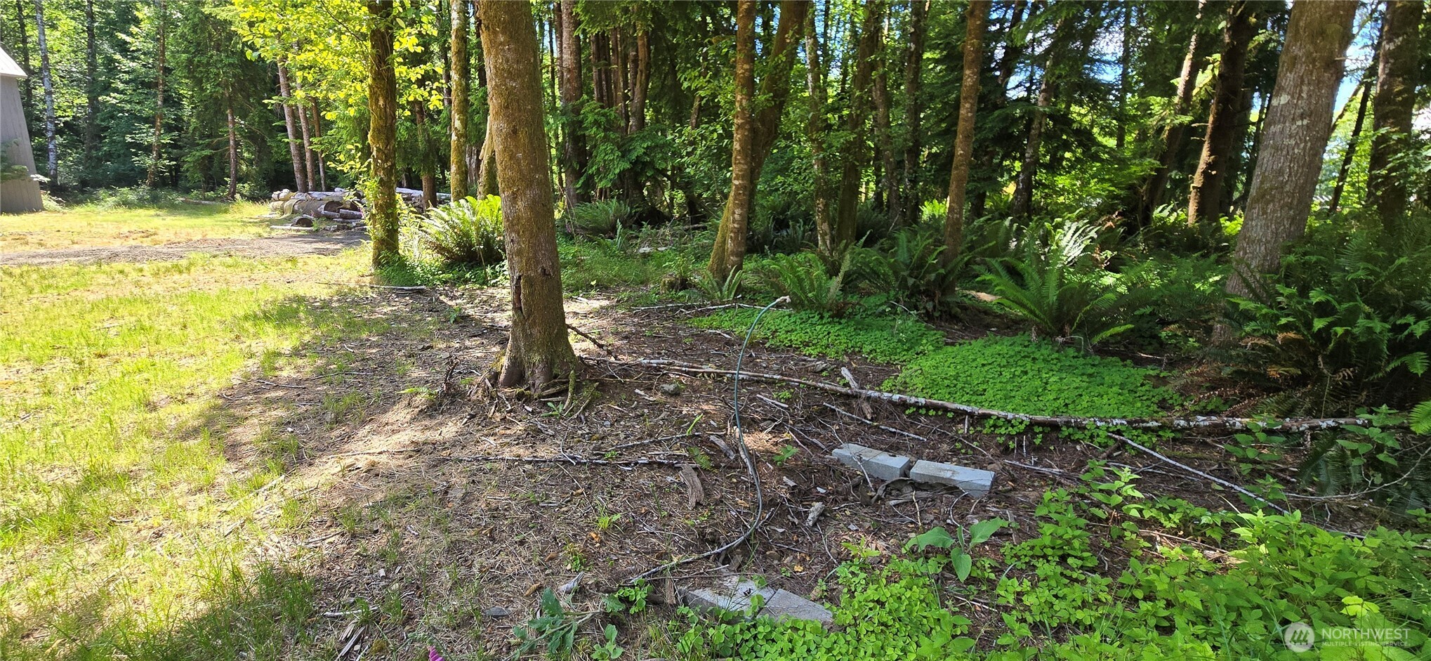 553 Upper Naselle Road Property Photo 29
