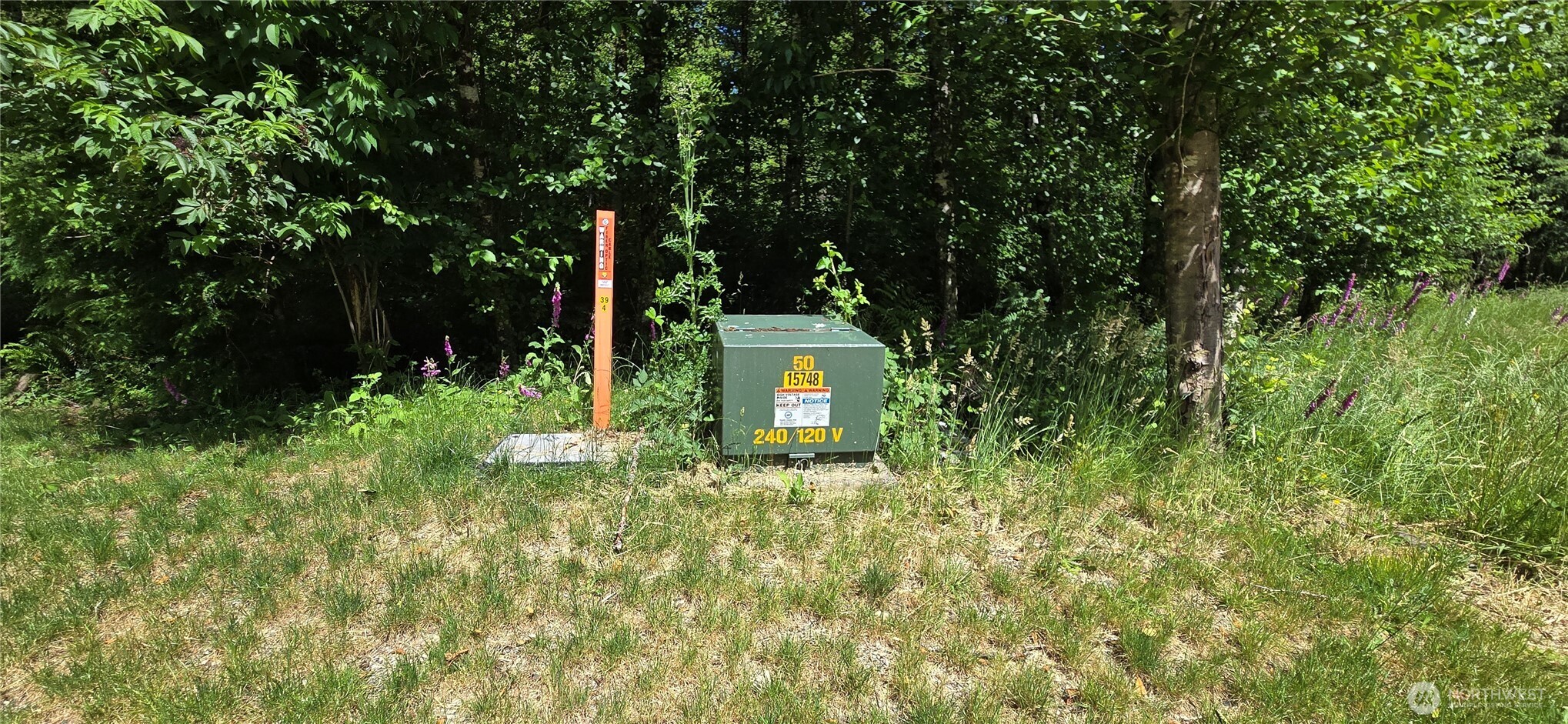553 Upper Naselle Road Property Photo 40