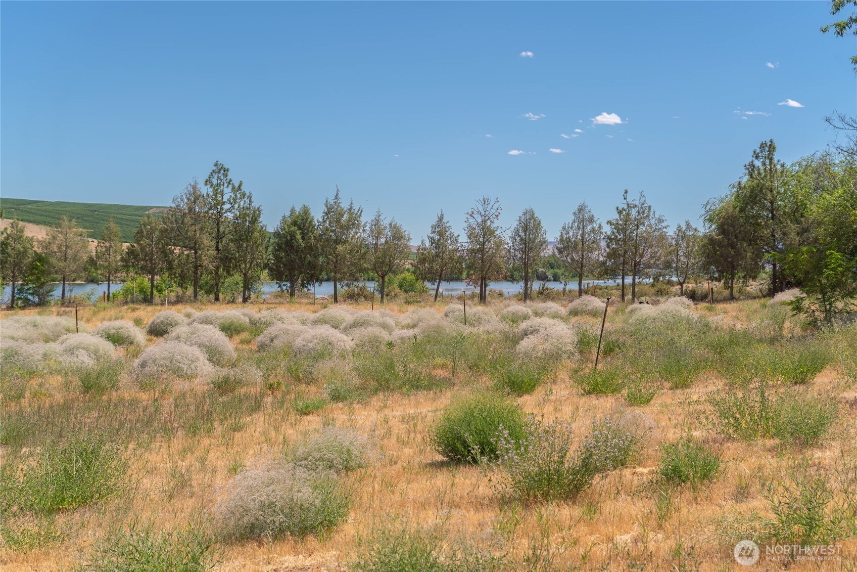 300 Monse River Road Property Photo 18