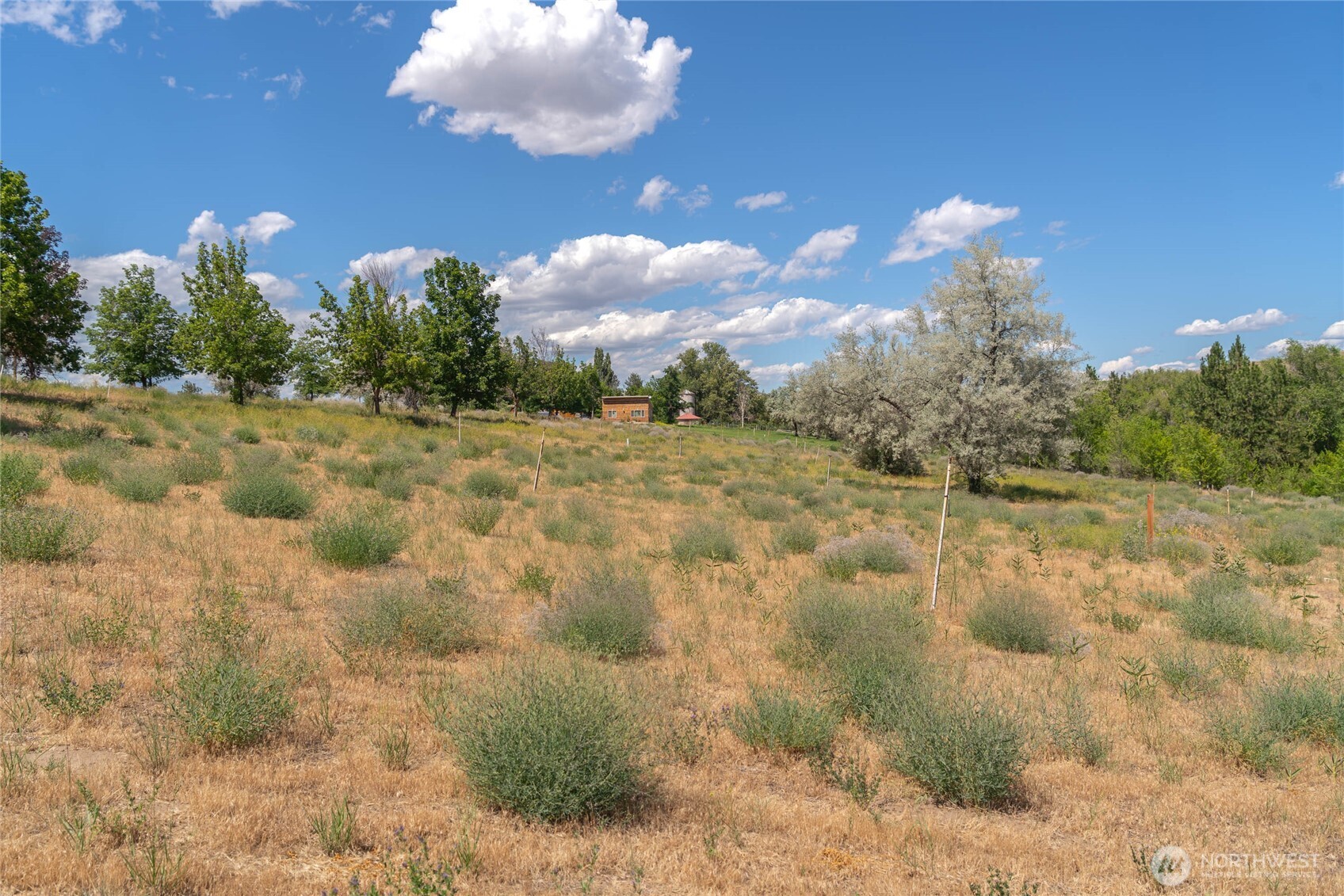 300 Monse River Road Property Photo 19