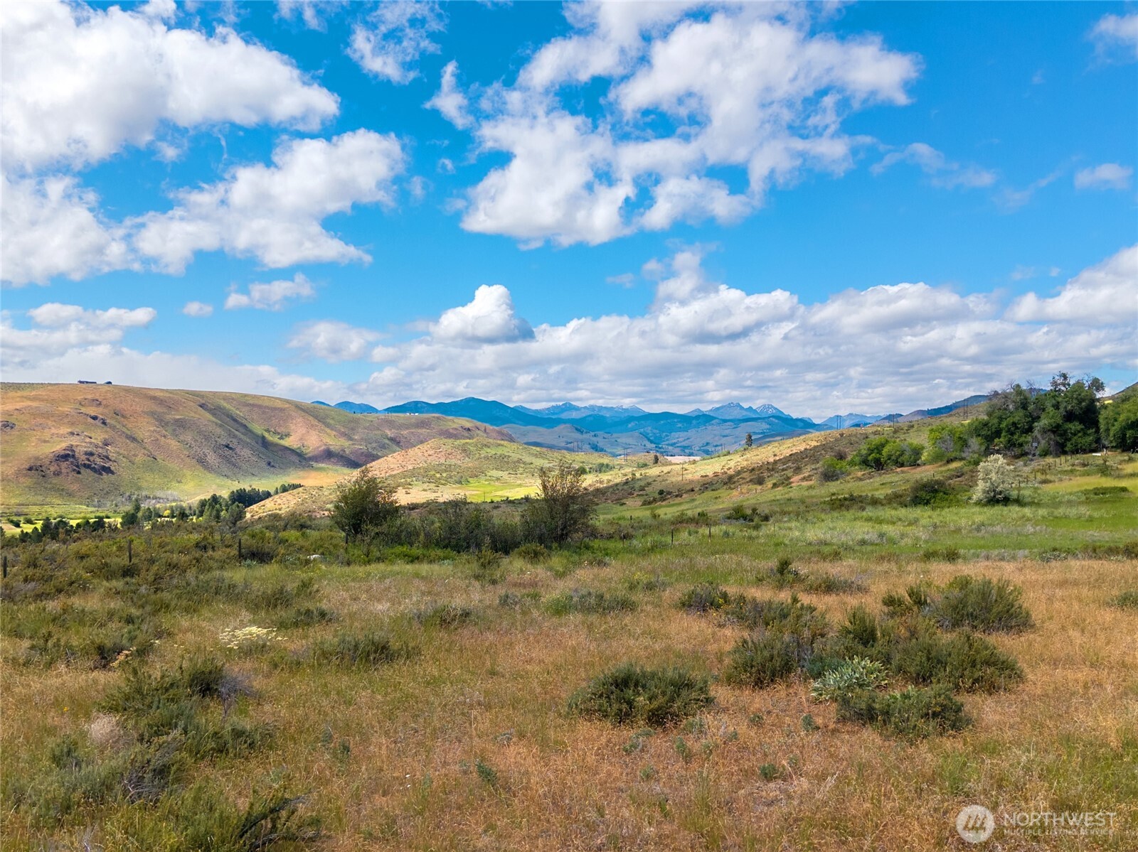 0 Tbd Bear Creek Road Property Photo 6