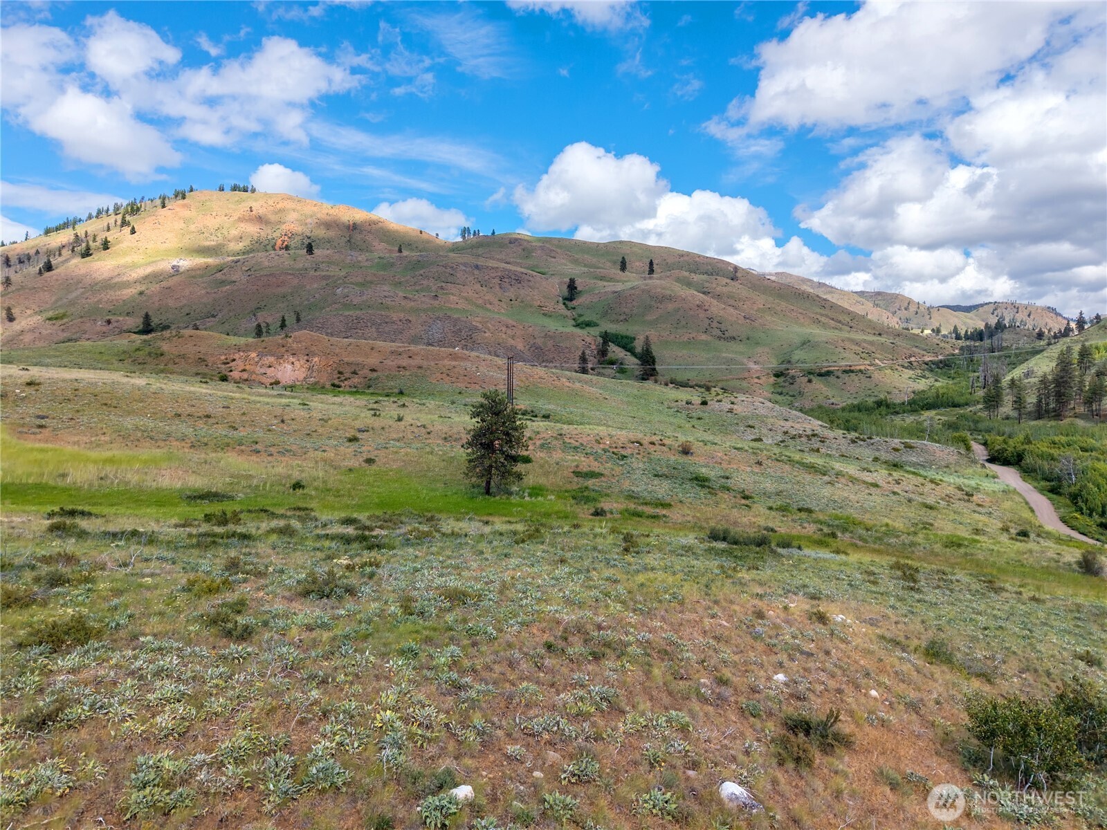 0 Tbd Bear Creek Road Property Photo 15