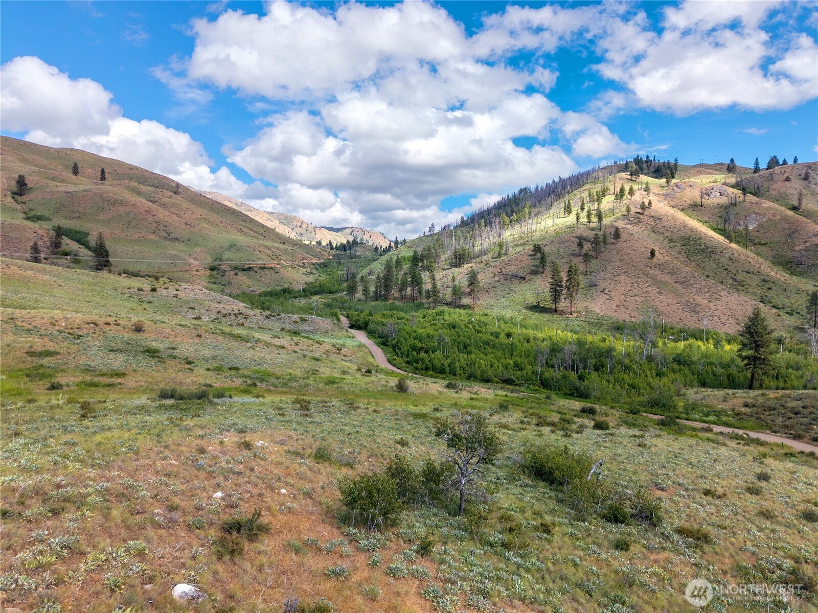 0 Tbd Bear Creek Road Property Photo 16