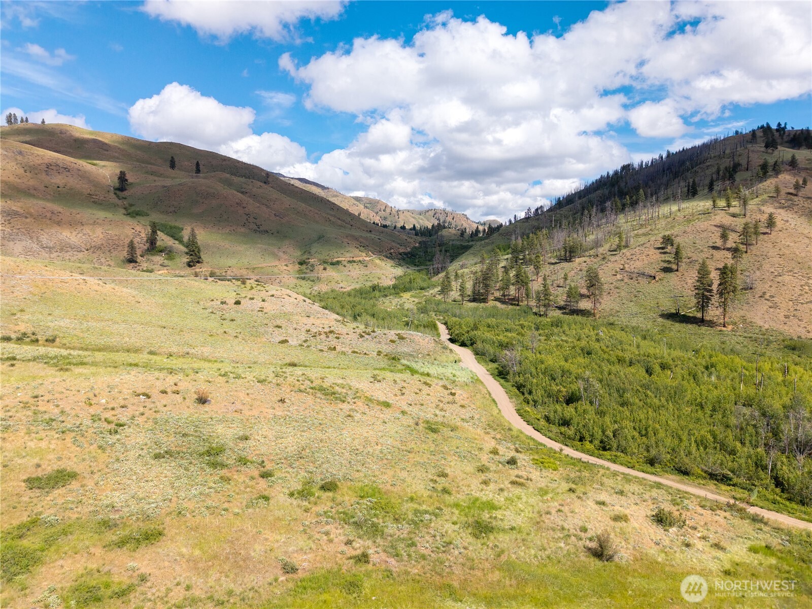 0 Tbd Bear Creek Road Property Photo 20