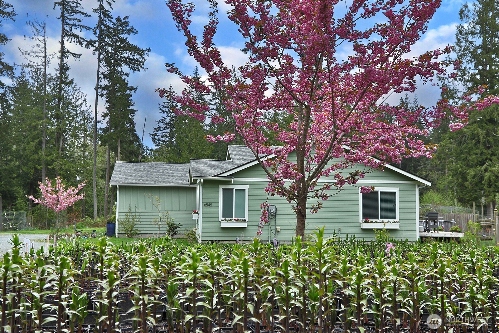6545 Cultus Bay Road Property Photo 6