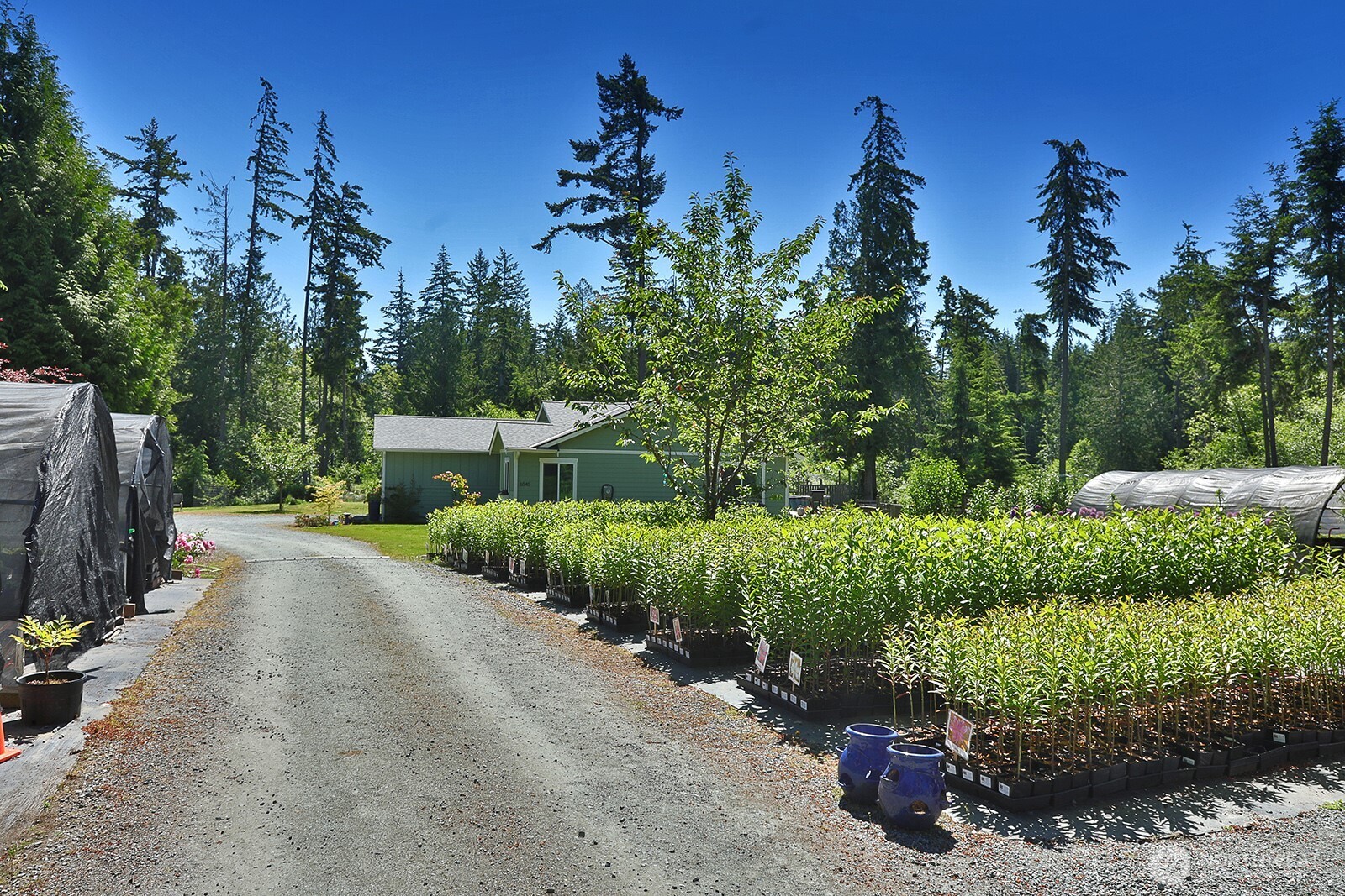 6545 Cultus Bay Road Property Photo 32