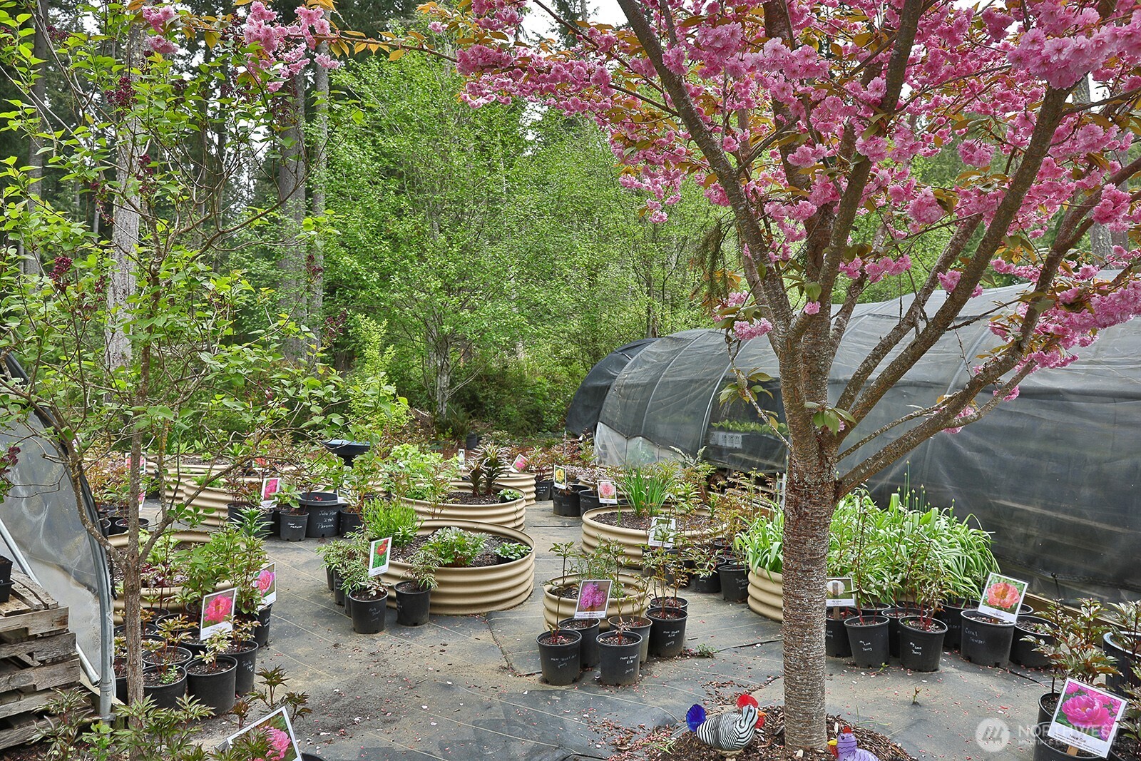 6545 Cultus Bay Road Property Photo 33