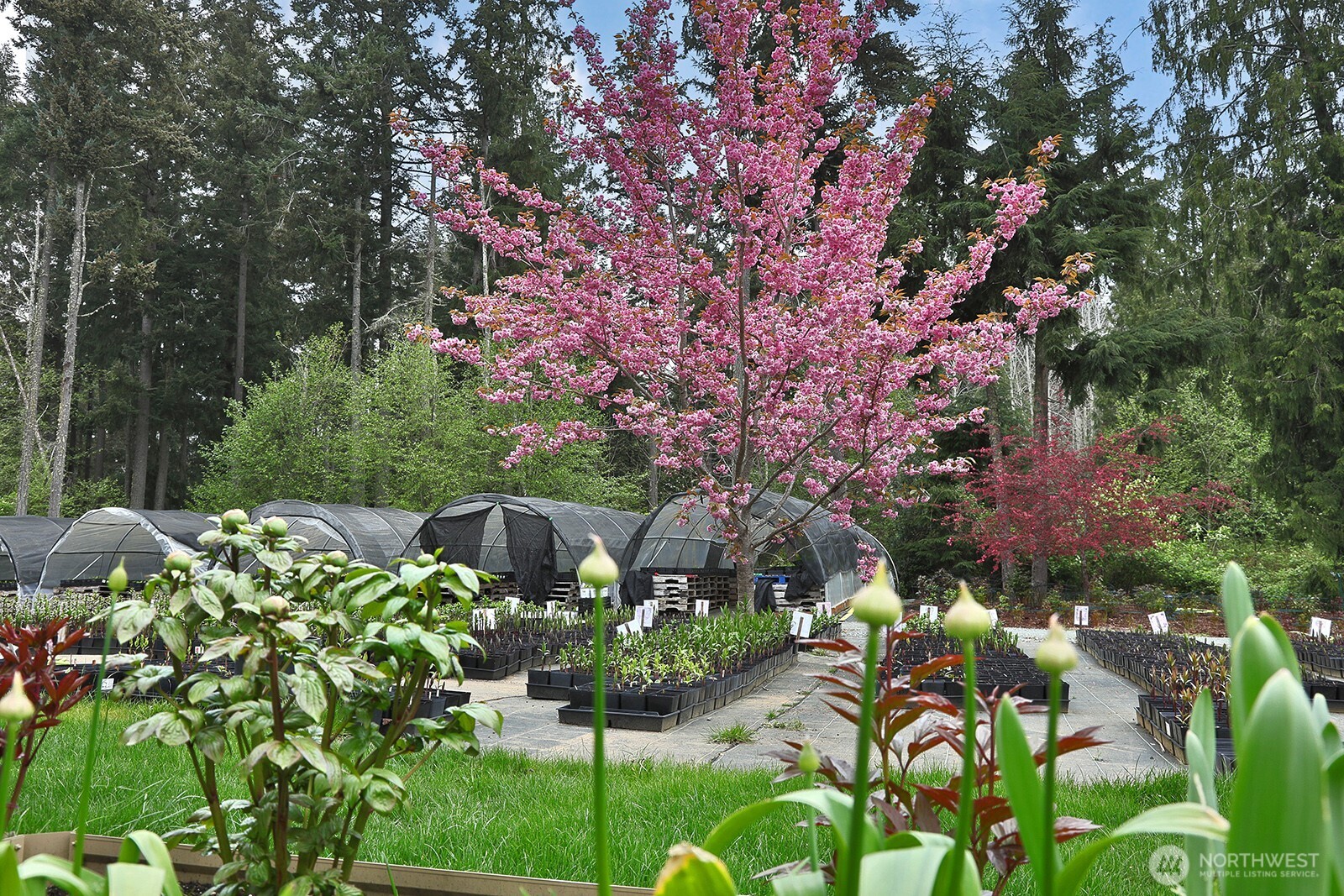 6545 Cultus Bay Road Property Photo 37