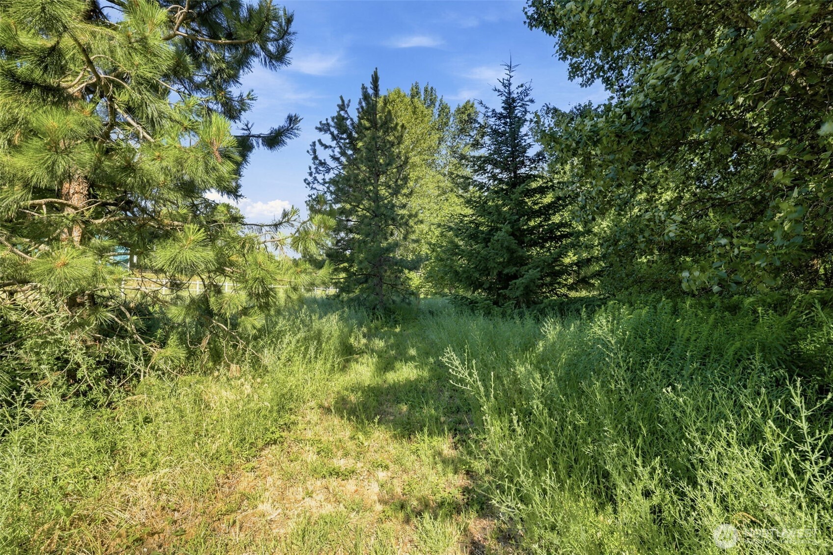 365 Black Bear Drive Property Photo 13