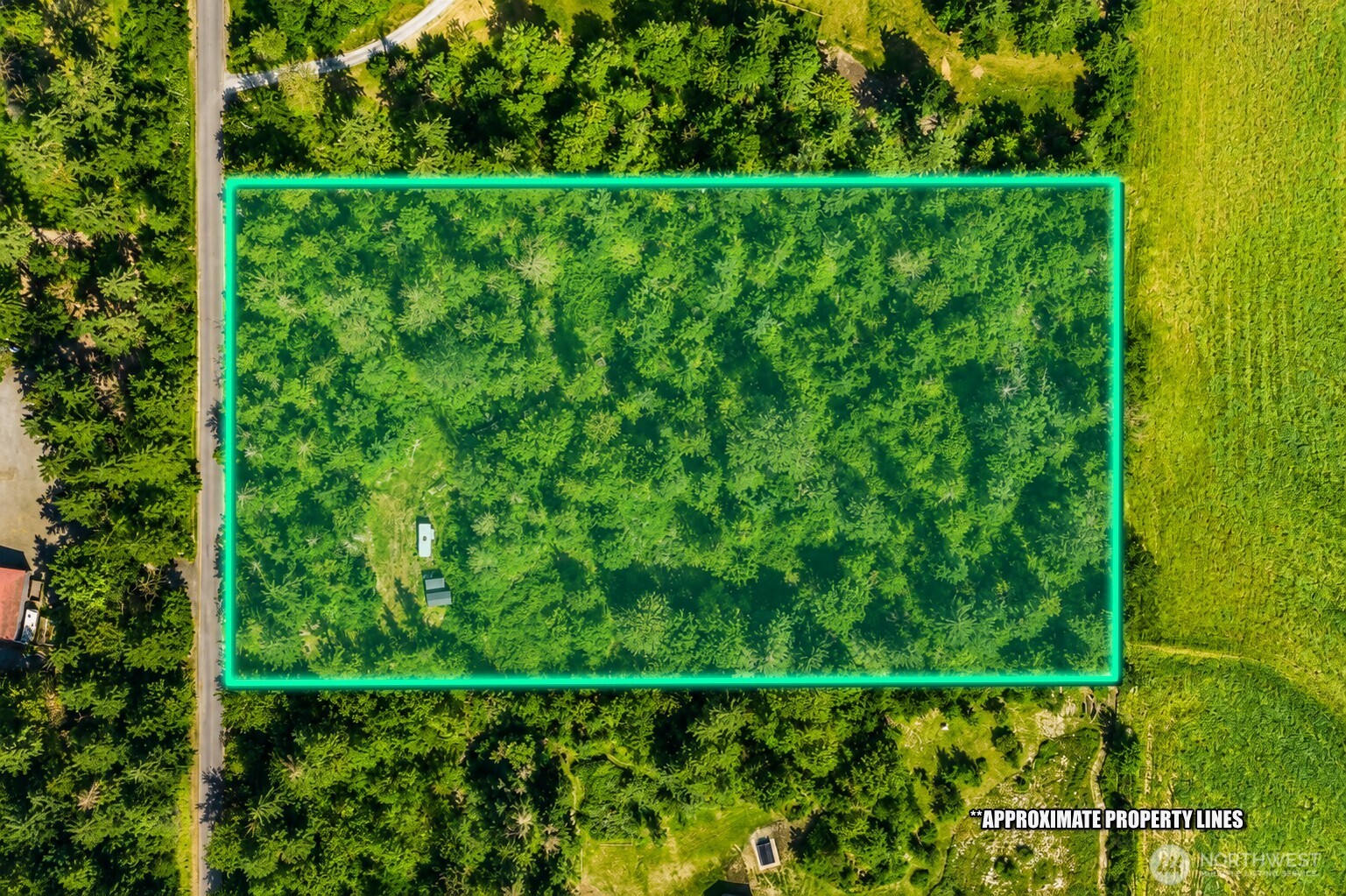 19509 161st Way Property Photo 9