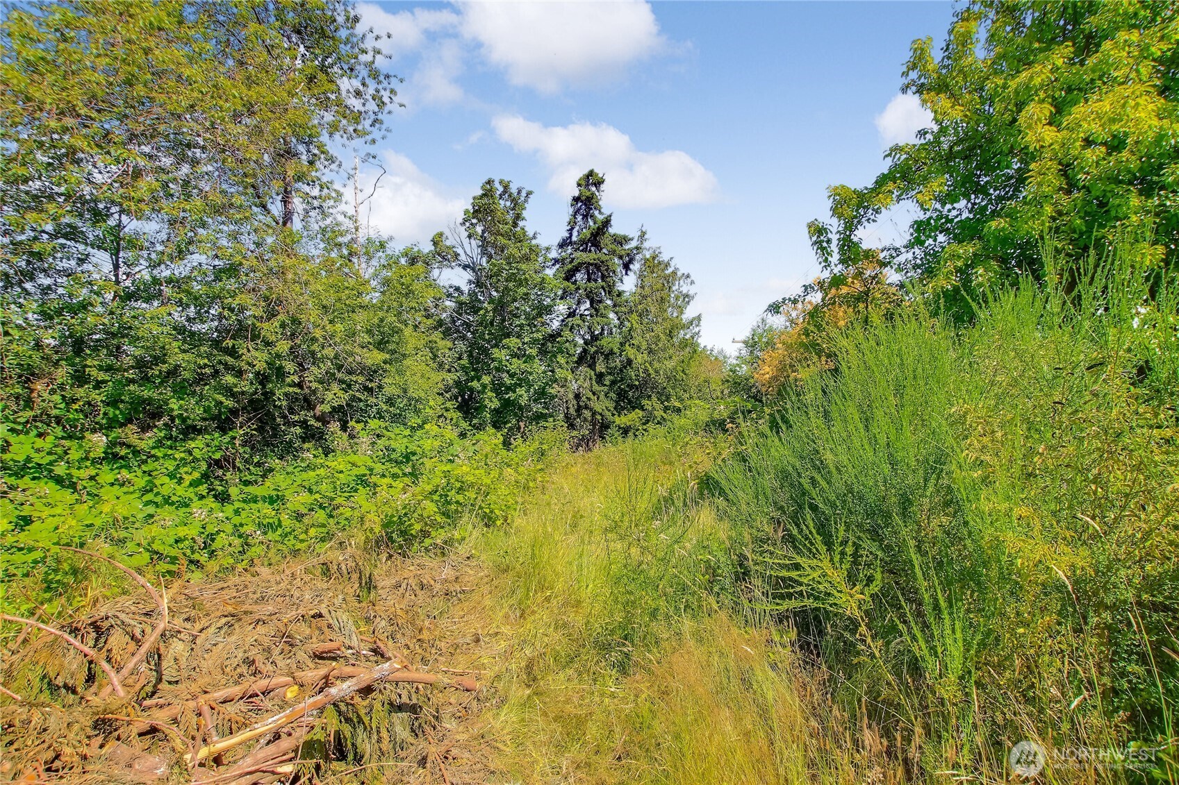 30320 Pioneer Highway Property Photo 39