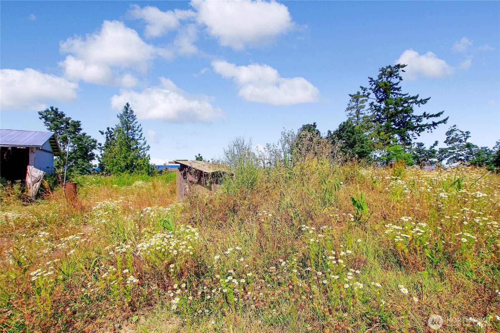 30320 Pioneer Highway Property Photo 40
