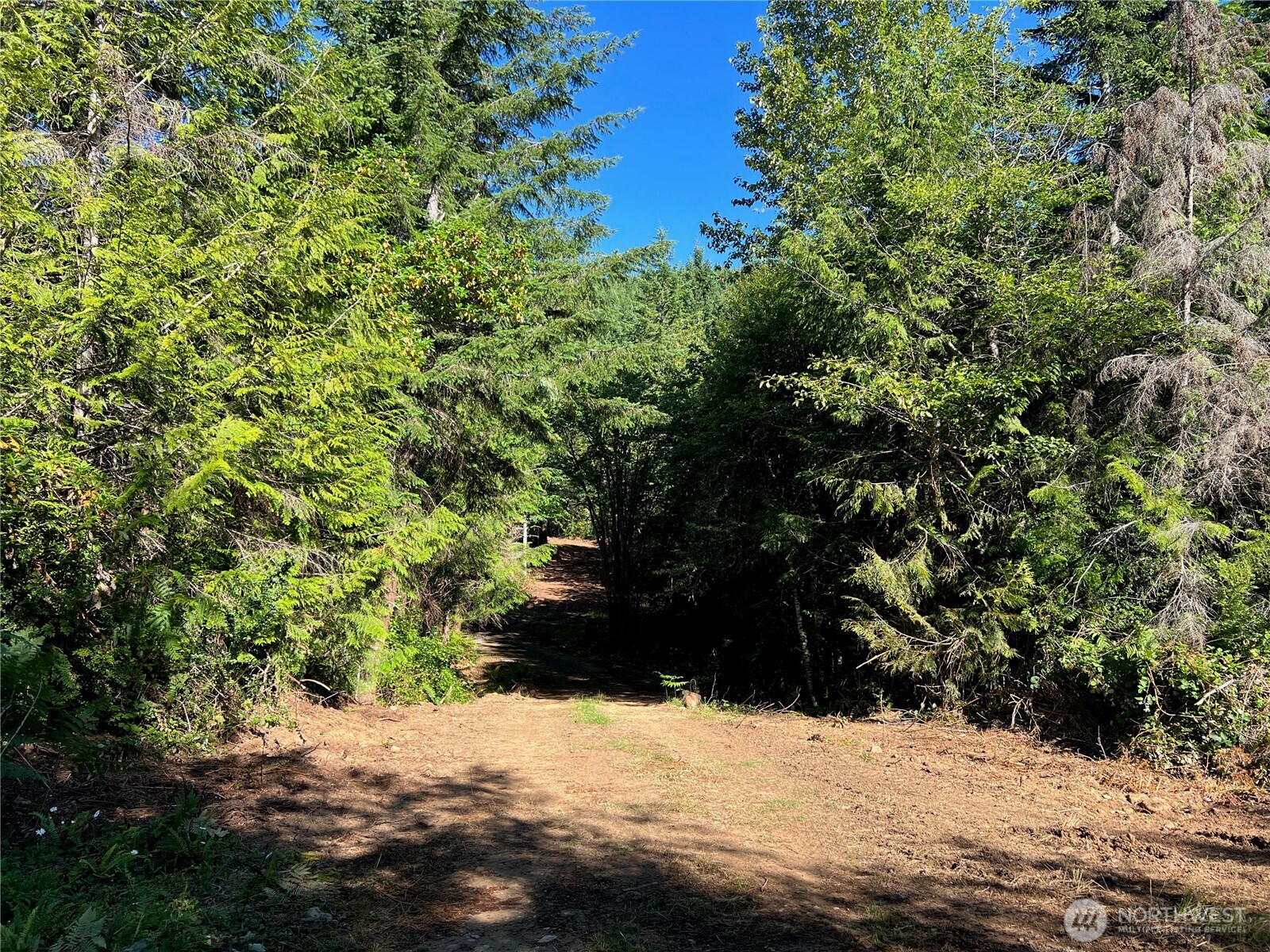992 Sunrise Property Photo 5