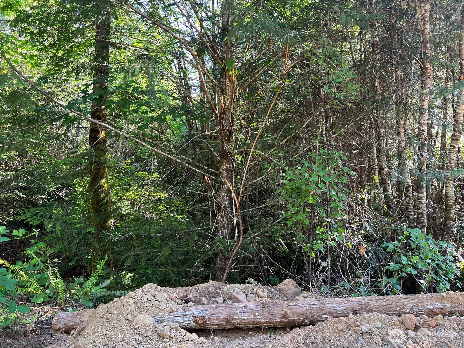 992 Sunrise Property Photo 7