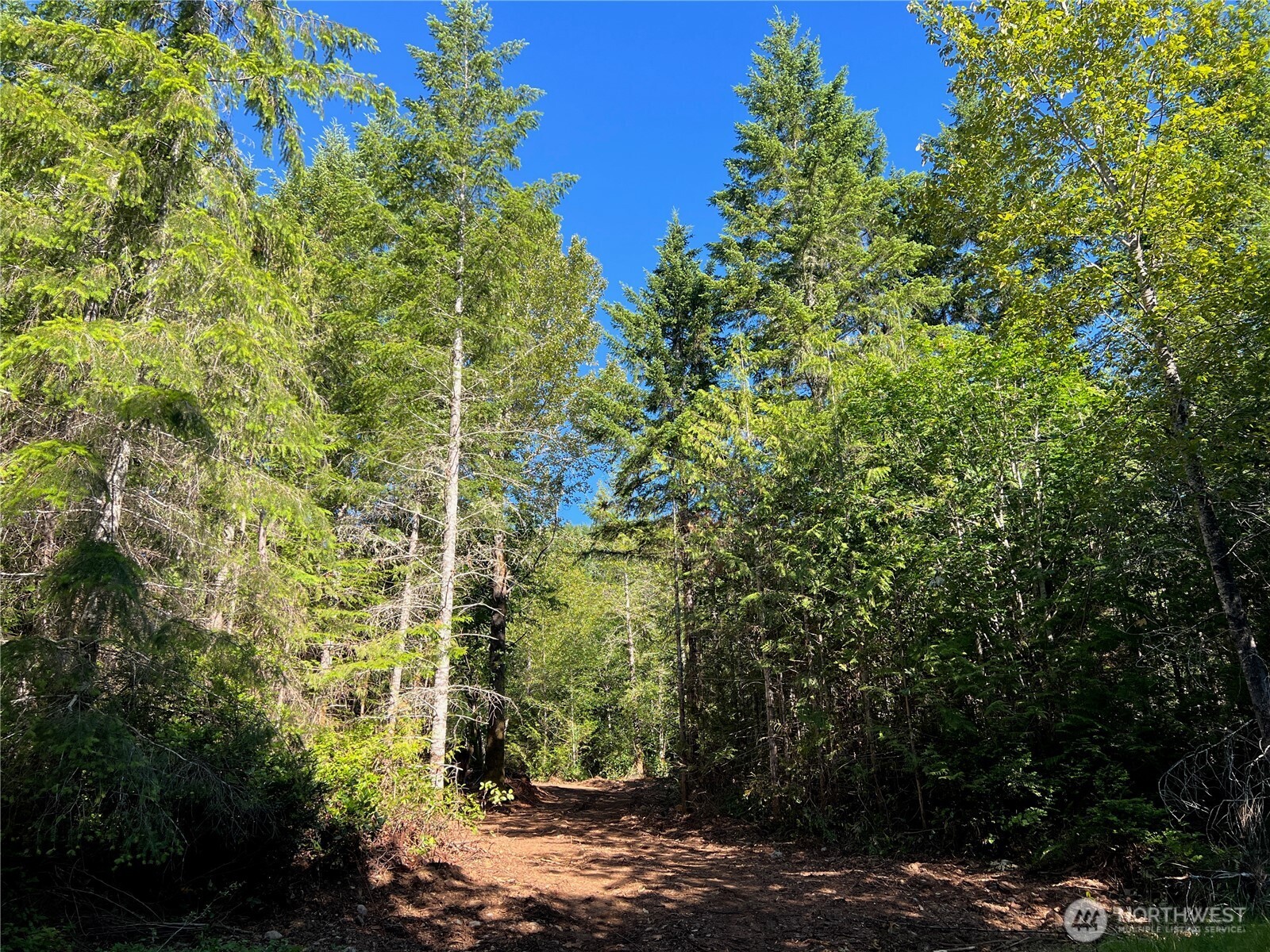 992 Sunrise Property Photo 9